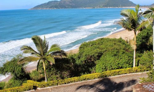 12c8260ffedf7654389c193783d5651b