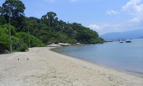 Foto_1184496324