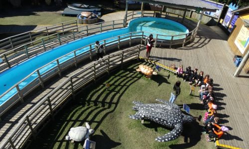 Inicio_3_Aerea_Grupo-3