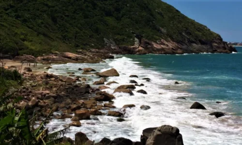 Trilha-Praia-do-Saquinho-Erich-Casagrande-800x445
