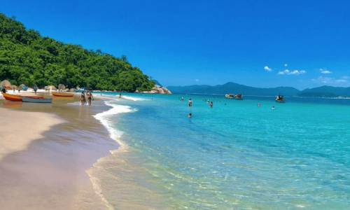 adbff1405f8942c4b3197eac3a175e32