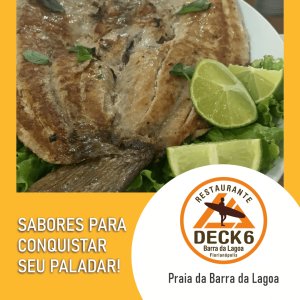deck6_2