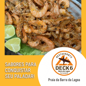 deck6_5