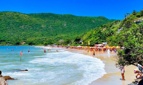 mateiro