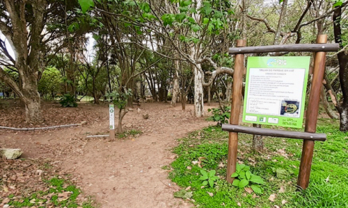 parque-da-luz-800x533
