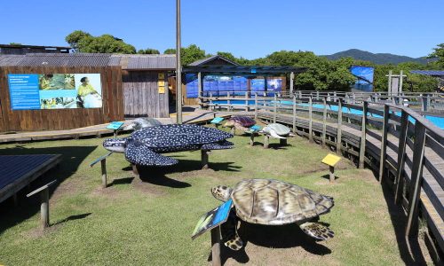 projeto-tamar-florianopolis