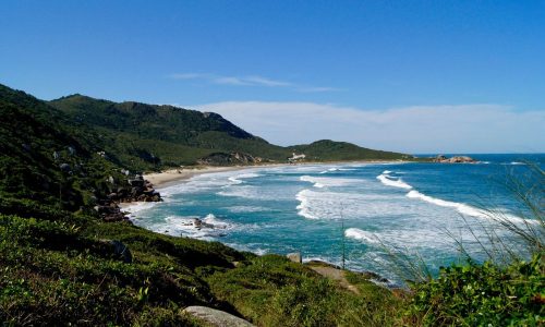 trilha-em-meio-a-natureza